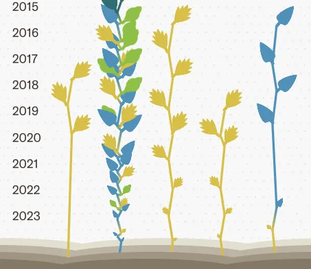 A digital garden in which each plant represents a grantee, with growth over time showing accumulated support