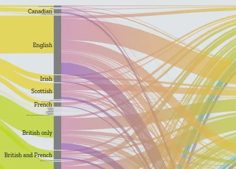 An explorable view of migration and diversity patterns across countries and cities